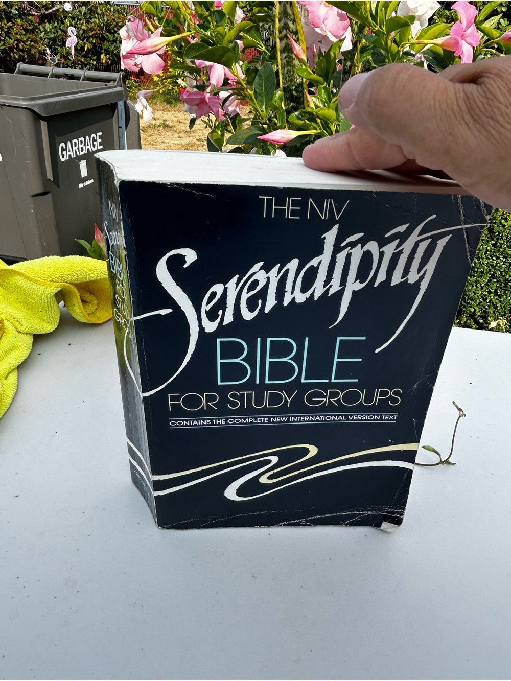 Serendipity Bible for Study Groups - Black